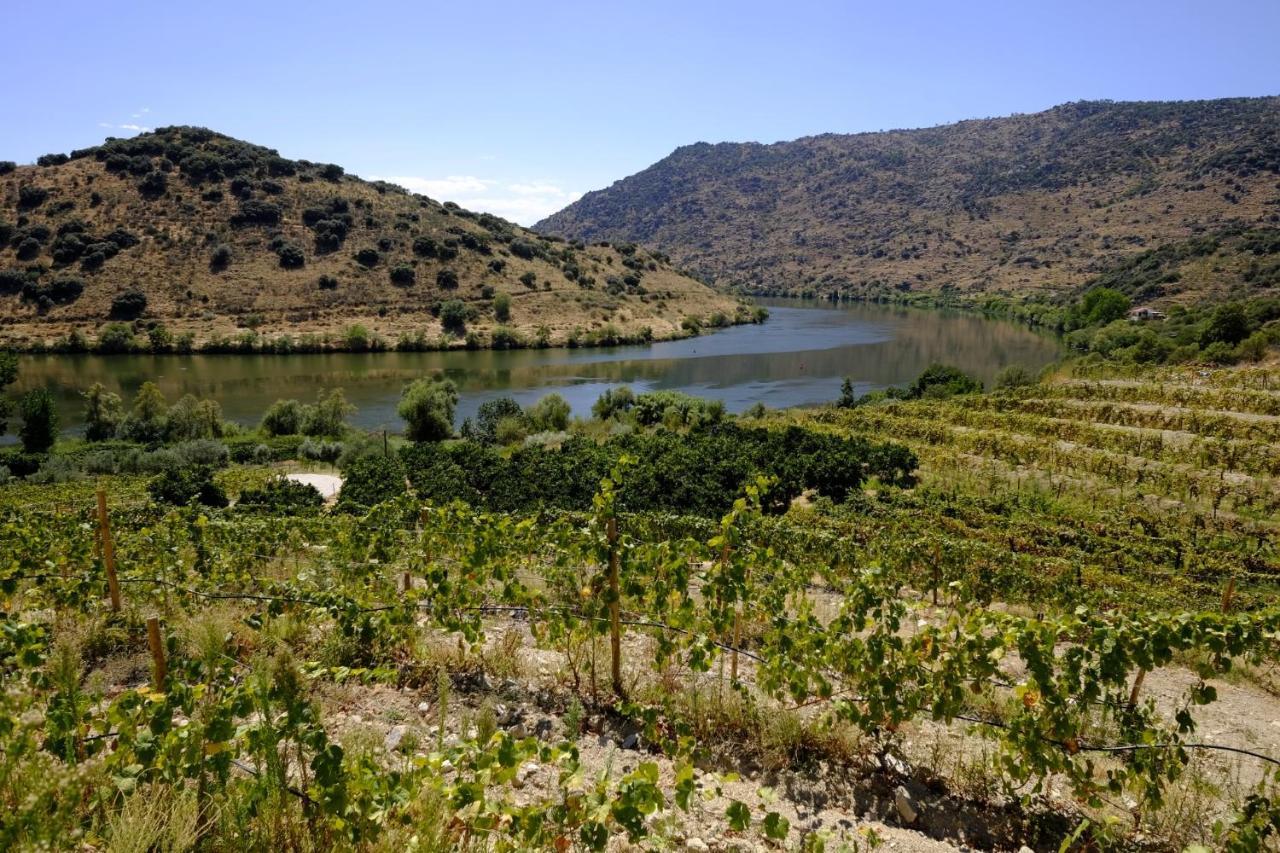Penzion Olhares Do Douro Torre De Moncorvo Exteriér fotografie
